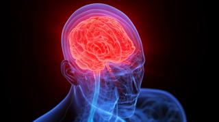 5 alimente periculoase pentru creier. Unele se regăsesc în dieta zilnică a multor persoane