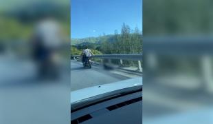 Imagini de o cruzime rară. Un câine a fost legat cu lanţul de scuter şi târât pe o şosea din Ruscova