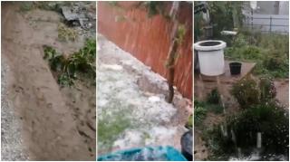 O ploaie torenţială, de câteva zeci de minute, a făcut prăpăd la Albești, în Vaslui. Oamenii au privit neputincioși cum grindina le distruge culturile