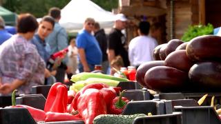 Cât a ajuns să coste o porţie de zacuscă făcută acasă. Scumpirile din piaţă şi la utilităţi le-a speriat pe gospodine