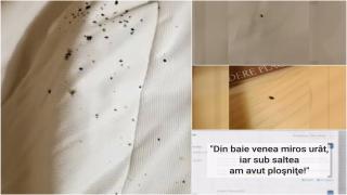 "Era plin!" Coşmarul turiştilor care s-au trezit cu ploşniţele pe pernă într-o pensiune de lux din Maramureş. Patronul îi acuză că au trucat pozele