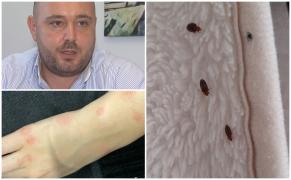 Cât te costă să scapi de ploşniţe. Bucureştenii sunt disperaţi şi au cheltuit enorm în zadar: "M-au băgat în depresie"