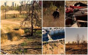 Parcul IOR, o epopee fără sfârșit: Prefectul Capitalei cere judecătorilor să anuleze retrocedarea terenului de 12 hectare pe motiv de ilegalitate