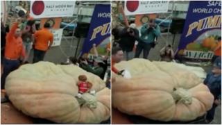 Suma colosală investită de un profesor de horticultura din SUA într-un dovleac. A stabilit un nou record mondial. Leguma cântărește 1247 de kilograme