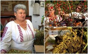 Plantele medicinale, pe cale de dispariţie: "Efectele se văd cu ochiul liber". Industria farmaceutică va avea serios de suferit