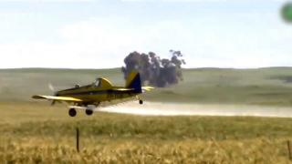 Produse din cereale, "pătate" de pesticide. Cât de gravă este problema la nivel european