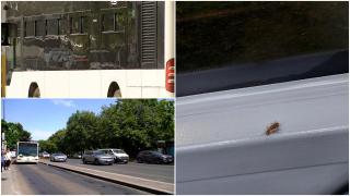 Mai mulţi gândaci decât călători în autobuzele STB: "Mânca-v-aş gura voastră, ăştia ne invadează"