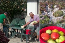 Ingredientul secret din murăturile tradiţionale de Buzău. Cum se face cea mai delicioasă saramură, doar din darurile naturii