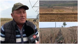 Seceta îi aduce pe fermieri la sapă de lemn. Investițiile făcute pe sute de hectare din Vaslui, pierdute pentru al treilea an consecutiv
