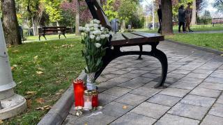 Boala de care suferea copilul de 13 ani mort în Parcul Cosmos din București