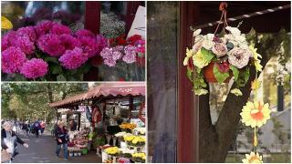 Sectorul 2 al Capitalei, plin de florării plasate în mijlocul trotuarelor. Primăria vrea să convingă florarii să închirieze spaţii la parterul clădirilor