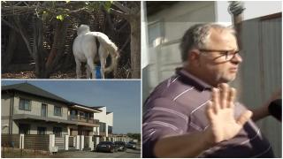 Cartierul rezidenţial construit lipit de o fermă. "Când eram eu aici nu era nicio casă". Animalele pasc lângă blocuri