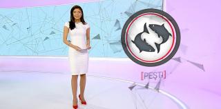 Horoscop 23 octombrie 2023. Zodia care îşi va schimba cariera