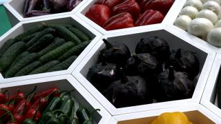 Cum arată vinetele, ardeii sau roşiile care se pot cultiva iarna. Fermierii români se reorientează către legumele hibrid