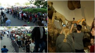 Paradă spectaculoasă de Ziua Armatei Române. Militari din mai multe colțuri ale țării au defilat pe străzi cu torțele aprinse