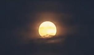 Luna a oferit un spectacol unic pe cer. Eclipsa parţială a fost vizibilă şi din România: "Se produc în fiecare an, dar nu toate se văd din grădină"