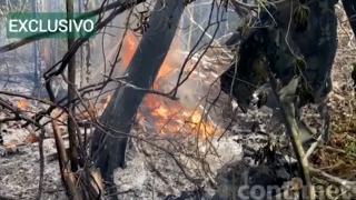 Tragedie cu 12 morţi în Brazilia, după ce un avion de mici dimensiuni s-a prăbuşit la scurt timp după decolare