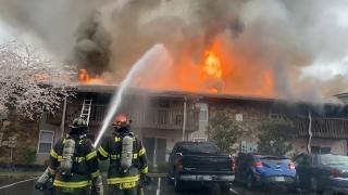 Un pompier a declanşat intenţionat 8 incendii, apoi a participat la stingerea lor, în Elveţia. Reacţia bărbatului după ce a fost prins