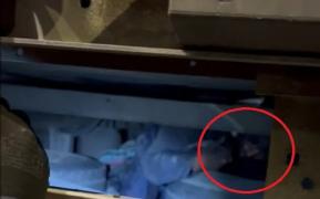 Marocan găsit de polițiști ascuns pe osia unui camion, în vama Giurgiu. Voia să ajungă în Germnaia, la rude