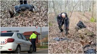 Un gălățean și-a omorât cu sânge rece iubita și s-a făcut nevăzut. Bărbatul, căutat de zile întregi: ce indicii au polițiștii până acum