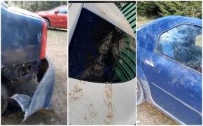 Şi-au lăsat maşinile în Parcul Naţional Ceahlăul şi le-au găsit distruse de urs. Animalul ar fi încercat să ajungă la portbagaj