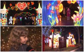 Decor de basm în Grădina Botanică din Capitală, în cadrul unei expoziţii de poveste. Atracţia principală, cel mai lung tunel luminat din Europa