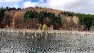 O poveste fără filtre. Lacul Cuejdel, decorul perfect pentru şedinţe foto reuşite