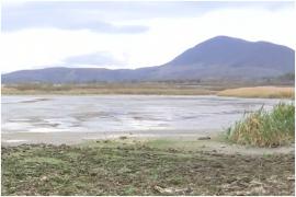 O rezervaţie naturală din inima Carpaţilor va renaşte după ce a fost distrusă de secetă. Cum vor reînvia autorităţile acest colţ de rai