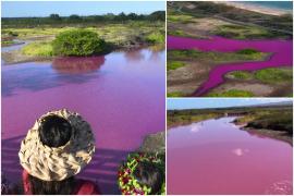 Un iaz unic în lume şi-a transformat misterios culoarea. Motivul din spatele fenomenului este îngrijorător