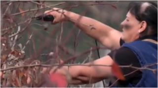 Pomii fructiferi, afectați de schimbările climatice. Ionela își pregătește livada pentru iarnă, deși producția din acest an a scăzut și cu 50% la unele fructe