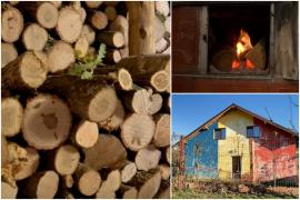 Ministerul Energiei le cere românilor cu posibilităţi să doneze bani de lemne pentru familiile sărace: "Să se gândească la cei nevoiaşi"