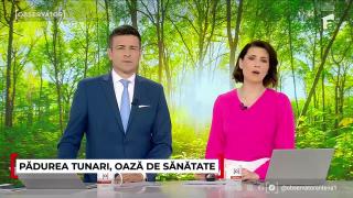 Pădurea Tunari, oază de sănătate