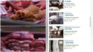 Porci vânduţi la poartă. Oferta unui localnic pentru clienţi: "Îl tranşăm în patru şi aia e"