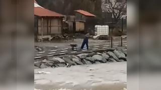 Bărbat din Bistriţa-Năsăud, filmat când arunca saci plini cu deşeuri în apele unui râu