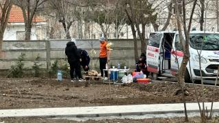 Scene ireale filmate în Constanța: Porci aduși cu ambulanța și tranșați într-un parc, pe unde se plimbă oamenii