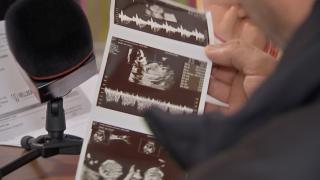 Condamnați la sterilitate: Mii de cupluri rămân fără sprijinul Guvernului pentru programul de fertilizare in vitro, în 2024