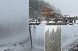 Viscol şi ninsori până în Ajun, apoi vremea se schimbă radical în România. După valul de aer polar, urmează poate cel mai călduros Crăciun din istorie