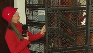 Lifturi vechi chiar şi de 100 de ani, în care bucureştenii se tem să urce. "A rămas la etajul 6 blocat vreo 4 ore"