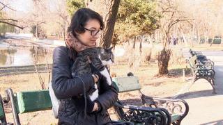 Hotelurile pentru animale de companie, pline până la refuz de sărbători. Cât costă o noapte de cazare pentru micuţii blănoşi