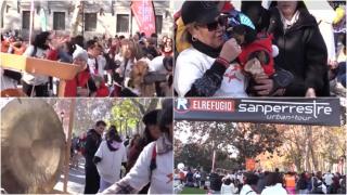 Sute de spanioli au sărbătorit deja Revelionul alături de câinii lor, într-un parc din Madrid. Ce se întâmplă când gongul bate simbolic miezul nopţii