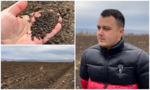 Recolte ofilite de cel mai călduros an. Culturile de grâu şi porumb ar putea fi compromise