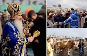 Mai mulți tineri curajoși au sărit în apa mării, să prindă cele trei cruci aruncate de Arhiepiscopul Tomisului, de Bobotează