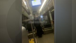 Momentul în care un călugăr snopeşte în bătaie un bărbat, într-un autobuz în Constanţa. Doar şoferul a reuşit să-i despartă
