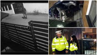 Judeţul terorizat de doi ani de hoţi. Poliţiştii au "reuşit" să rezolve doar 10% din cazuri