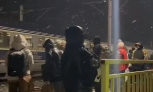 Prin frig şi zăpadă, cu bagajele după ei. Chin pentru pasagerii unui tren CFR care s-a stricat la Periş, pe ruta Bucureşti - Braşov