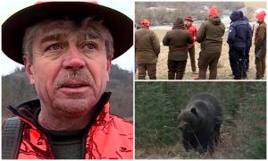 Vânător atacat cu sălbăticie de urs, în Mureș: "L-a doborat la pământ, l-a muşcat de mâini, de faţă". Cum a scăpat cu viață