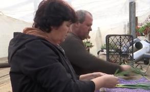 Afacerea cu care Ionel şi Felicia au dat lovitura în plină iarnă: Ne spun cât vor şi noi le facem. Şi în 10 - 15 minute sunt gata