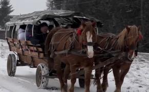 Plimbarea în căruţe trase de cai, experienţa de care se bucură turiştii veniţi în Valea lui Pavel: "Am avut un traseu senzaţional, printr-un peisaj de vis"