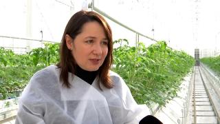 Afacerea cu care Silvia a cucerit supermarketurile din România. Insuficient, însă, pentru că pe rafturile marilor magazine sunt încă 60% produse din import