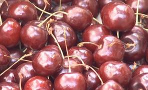 Cât costă acum 1 kg de cireşe în piaţă. Comercianţii vând şi câte 100 de grame pentru a găsi cumpărători să accepte preţul uriaş